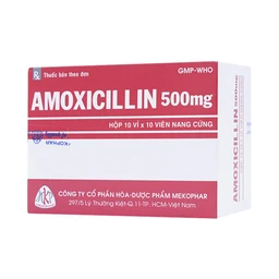 Thuốc Amoxicillin 500mg Mekophar điều trị nhiễm khuẩn (10 vỉ x 10 viên)
