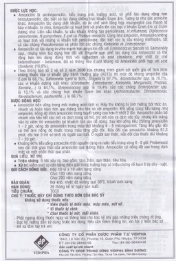 Thuốc Amoxycilin 500mg Vidipha điều trị nhiễm khuẩn (10 vỉ x 10 viên)