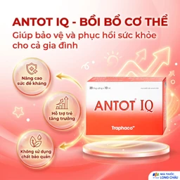 Dung dịch giúp trẻ ăn ngon miệng Antot IQ Traphaco (20 ống) 2
