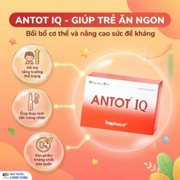 Dung dịch giúp trẻ ăn ngon miệng Antot IQ Traphaco (20 ống) 2