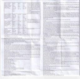 Thuốc Batigan 300mg Phương Đông hỗ trợ điều trị nhiễm HIV-1, viêm gan B mạn tính (3 vỉ x 10 viên)