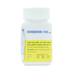 Thuốc Berberin 100mg Domesco điều trị nhiễm khuẩn đường ruột, tiêu chảy, kiết lỵ (100 viên)