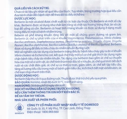 Thuốc Berberin 100mg Domesco điều trị nhiễm khuẩn đường ruột, tiêu chảy, kiết lỵ (100 viên)