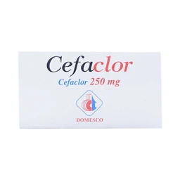 Bột pha hỗn dịch uống Cefaclor 250mg Domesco điều trị nhiễm khuẩn (10 gói)