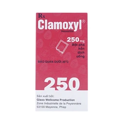 Bột pha hỗn dịch uống Clamoxyl 250mg GSK điều trị nhiễm khuẩn (12 gói)