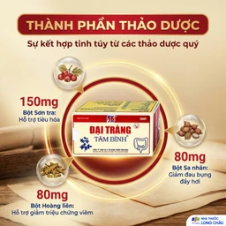 Viên giảm viêm đại tràng cấp và mãn tính Đại Tràng Tâm Bình (5 vỉ x 12 viên) 4
