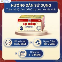 Viên giảm viêm đại tràng cấp và mãn tính Đại Tràng Tâm Bình (5 vỉ x 12 viên) 5