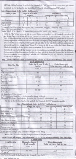 Thuốc Dalacin C 300mg Pfizer điều trị nhiễm khuẩn (2 vỉ x 8 viên)