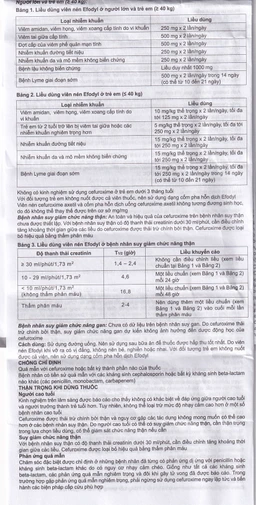 Thuốc Efodyl 500mg điều trị nhiễm khuẩn đường (2 vỉ x 10 viên)