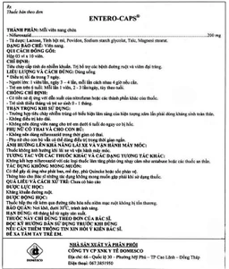 Thuốc Entero-Caps 200mg Domesco điều trị tiêu chảy cấp tính do nhiễm khuẩn (3 vỉ x 10 viên)