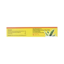 Kem bôi da Erythromycin & Nghệ Nam Hà điều trị mụn nhọt, trứng cá (10g)