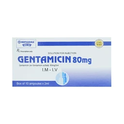 Dung dịch tiêm Gentamicin 80mg HDPharma điều trị nhiễm khuẩn nặng (10 ống x 2ml)