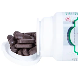 Viên giúp giảm nguy cơ đường huyết cao Giảo Cổ Lam Tuệ Linh (100 viên)