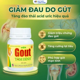 Viên hỗ trợ giảm triệu chứng đau do gút Gout Tâm Bình (60 viên) 3