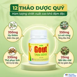 Viên hỗ trợ giảm triệu chứng đau do gút Gout Tâm Bình (60 viên) 4