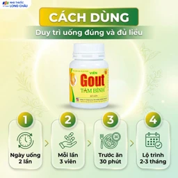 Viên hỗ trợ giảm triệu chứng đau do gút Gout Tâm Bình (60 viên) 5