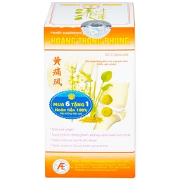 Viên tăng cường chức năng gan thận Hoàng Thống Phong (60 viên)