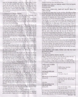 Kem bôi da Momate Glenmark điều trị viêm và ngứa bệnh vẩy nến (15g) 