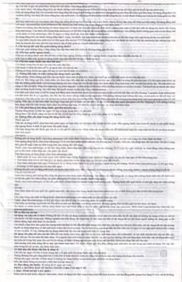 Viên nén Nebicard 2.5 Torrent điều trị tăng huyết áp (5 vỉ x 10 viên)