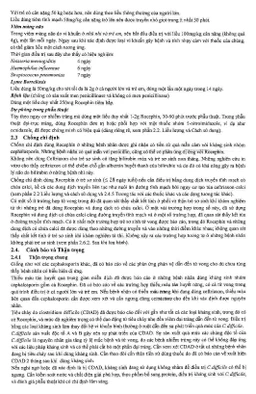 Bột pha tiêm Rocephin F.Hoffmann-La Roche điều trị nhiễm khuẩn huyết, viêm màng não (lọ 1g + ống 10ml)