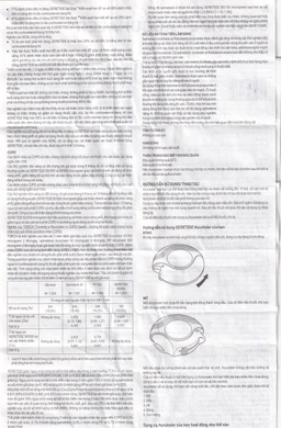 Bột hít phân liều Seretide Evohaler DC 50/250 Gsk điều trị hen phế quản, tắc nghẽn phổi mạn tính (60 liều)