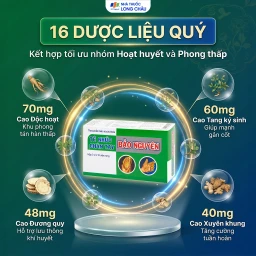 Viên uống hỗ trợ giảm tê nhức chân tay, đau mỏi vai gáy, tăng cường lưu thông khí huyết Tê Nhức Chân Tay Bảo Nguyên (3 vỉ x 10 viên) 4