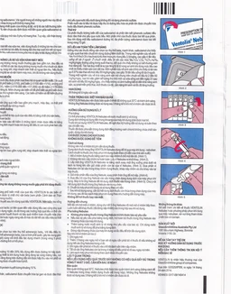 Dung dịch khí dung Ventolin Nebules 2.5mg GSK điều trị, ngăn ngừa co thắt phế quản (6 vỉ x 5 ống)