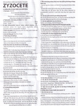 Thuốc Zyzocete Thephaco giảm triệu chứng viêm mũi dị ứng, mày đay (10 vỉ x 10 viên)