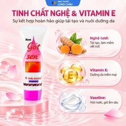 Kem bôi giảm nứt gót chân gót sen Thái Dương, dưỡng ẩm, mềm da 20g 3