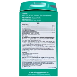 Viên uống tăng cường thị lực giảm mờ và nhòe mắt WIT For Your Eyes (30 viên)