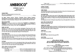 Siro Ambroco United hương cam điều trị viêm phế quản, hen phế quản cho trẻ em (30ml)