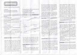 Thuốc Bilomag 80mg Natur Produkt Pharma điều trị suy tuần hoàn não, giảm chú ý tập trung (6 vỉ x 10 viên)