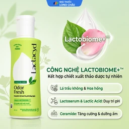 Dung dịch vệ sinh phụ nữ Lactacyd Odor Fresh ngăn mùi suốt 24h (150ml) 2