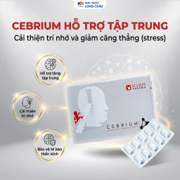 Viên hỗ trợ tăng khả năng tập trung Cebrium Ever Pharma (3 vỉ x 10 viên) 2