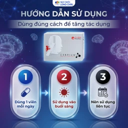 Viên hỗ trợ tăng khả năng tập trung Cebrium Ever Pharma (3 vỉ x 10 viên) 5