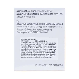 Thuốc Ursoliv 250 MEGA We care điều trị làm tan sỏi mật (5 vỉ x 10 viên)