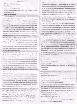 Thuốc Ursachol 250mg Lupin điều trị xơ gan mật nguyên phát (2 vỉ x 10 viên)