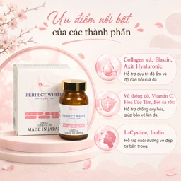 Viên uống hỗ trợ làm đẹp da, giúp da trắng sáng, cải thiện thâm nám, hạn chế lão hóa da Perfect White Jpanwell (60 viên) 3