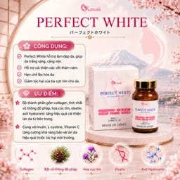 Viên uống hỗ trợ làm đẹp da, giúp da trắng sáng, cải thiện thâm nám, hạn chế lão hóa da Perfect White Jpanwell (60 viên) 4