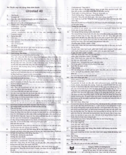 Thuốc Urostad 40 Stella điều trị phù phổi cấp (5 vỉ x 10 viên)