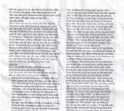 Thuốc Remeron 30mg MSD điều trị các đợt của trầm cảm nặng (3 vỉ x 10 viên)