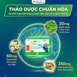 Viên hỗ trợ hoạt huyết Migrin Plus CVI (2 vỉ x 10 viên) 3