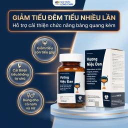 Viên uống giảm tiểu đêm Vương Niệu Đan Thái Minh (80 viên) 2