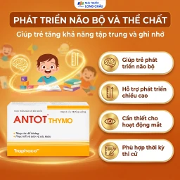 Dung dịch giúp ăn ngon miệng Antot Thymo Traphaco (2 vỉ x 10 ống) 4