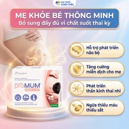 Viên uống bổ sung Acid folic, sắt cho phụ nữ mang thai và cho con bú proMUM New Live (2 vỉ x 15 viên) 4