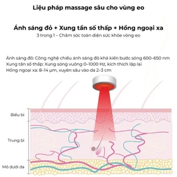 Máy massage (mát xa) lưng, bụng Fuji PG-2645L giúp giảm đau các vùng cơ và dây thần kinh bên trong