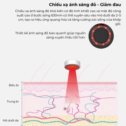 Máy massage (mát xa) đầu gối Fuji PG-2015F3 giúp cải thiện lưu thông máu và giảm bớt sự khó chịu của khớp gối