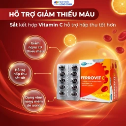 Viên uống hỗ trợ giảm nguy cơ thiếu máu do thiếu sắt Ferrovit C Mega (3 vỉ x 10 viên) 2