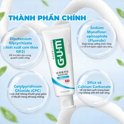 Kem đánh răng sunstar Gum ls hương bạc hà 120g 4