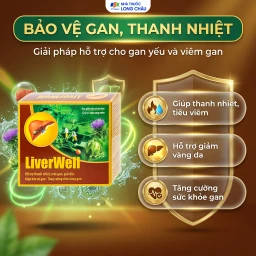 Viên uống hỗ trợ thanh nhiệt, mát gan, giải độc, bảo vệ gan LiverWell (12 vỉ x 5 viên) 4